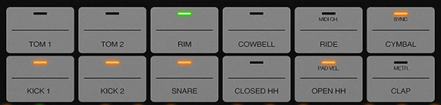 muestras del UNO DRUM